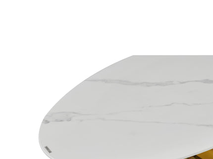 Oval Coffee Table With Geometric Precision