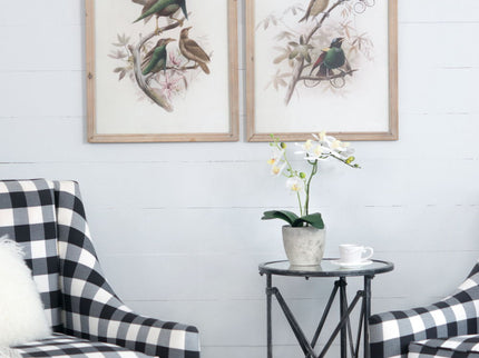 Bird Framed Print (Set of 2) - Multicolor