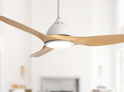 Bredoom Ceiling Fan With Remote Control And LED Light, Blades, Reversible DC Motor For Indoor / Outdoor Use