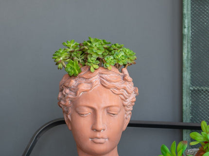 D7X11" Visage Head Bust Planter - Brown