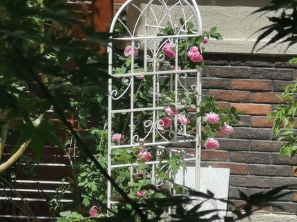 Metal Garden Rustproof Trellis For Climbing Plants Outdoor Flower Support