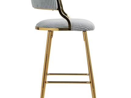 Counter Height Bar Stools With Powder Coating Base And Footrest (Set of 2) -