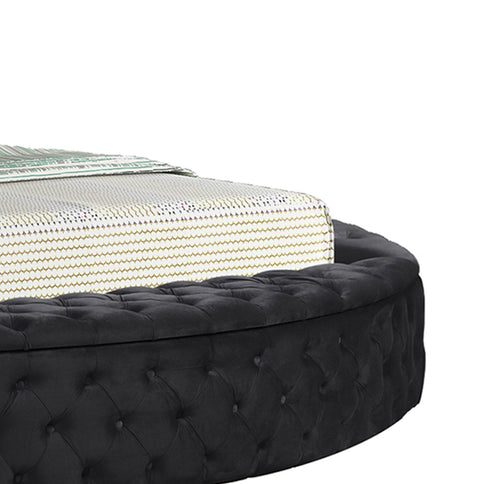 Hazel - Queen Size Tufted Storage Bed & Bluetooth Speakers, USB Port - Black
