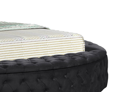 Hazel - Storage Bed