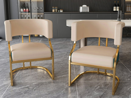 Dining Chairs Ergonomic Curved Backres (Set of 2) - Blue / Neutral