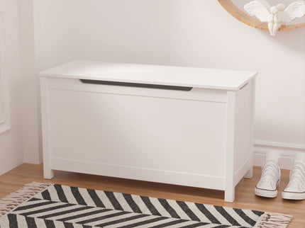 Toy Box Storage With Safety Hinged Lid