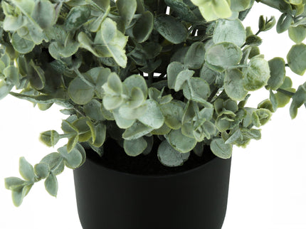 11" Tall, Artificial Plant, Eucalyptus Grass, Indoor, Faux, Fake, Table, Greenery, Potted, Decorative (Set of 2) - Green / Black