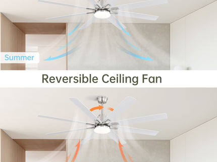 Ceiling Fan With Dimmable LED Light, 8 Blades, Reversible DC Motor, Remote Control