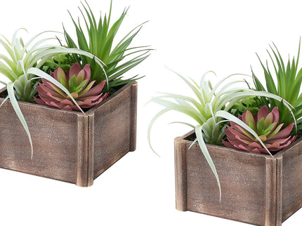 Artificial Succulent, Table Decor (Set of 2) - Green / Dark Brown