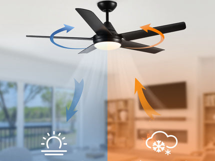 Ceiling Fan With Lights And Remote Control, Reversible DC Motor, 6 Speeds, 3 Cct Dimmable LED, Quiet Timer For Indoor - Black