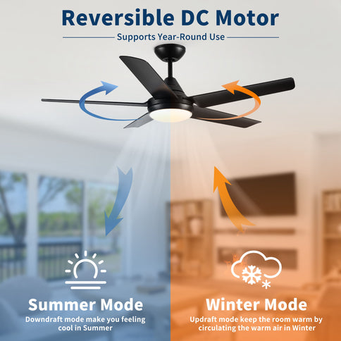 Ceiling Fan With Lights And Remote Control, Reversible DC Motor, 6 Speeds, 3 Cct Dimmable LED, Quiet Timer For Indoor - Black