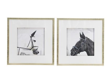 Wall Art Horse Animal Printing, Wall Decor Accent (Set of 2) - Golden / White