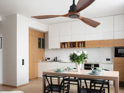 48" Ceiling Fan Without Light, 3 Solid Wood Blades Outdoor Ceiling Fan 6 - Speed Reversible DC Motor For Living Room - Black