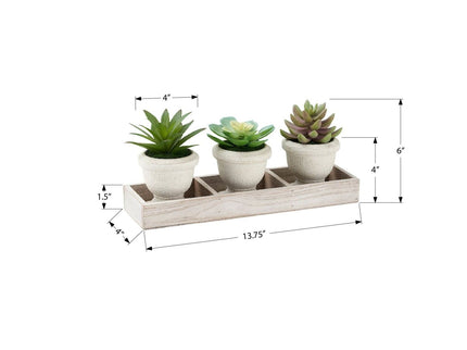Artificial Succulent, Table Decor (Set of 3) - Green / Beige