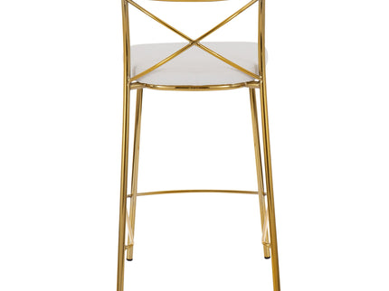 Modern Charlotte - Contemporary Fixed Height Counter Stool (Set of 2)