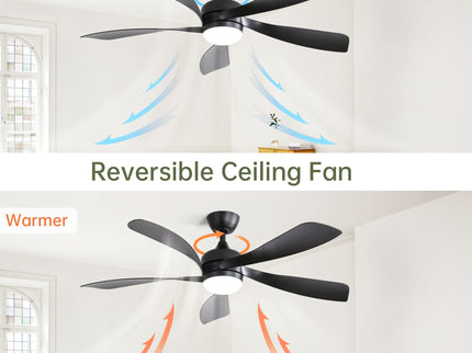 Ceiling Fan & DC Motor And Integrated Light