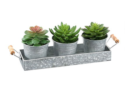 Artificial Succulent, Table Decor (Set of 3) - Green