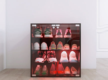 4 Layers Shoe Cabinet With Glass Door And Glass Layer Shoes Display Cabinet With LED Light Bluetooth Control - Black