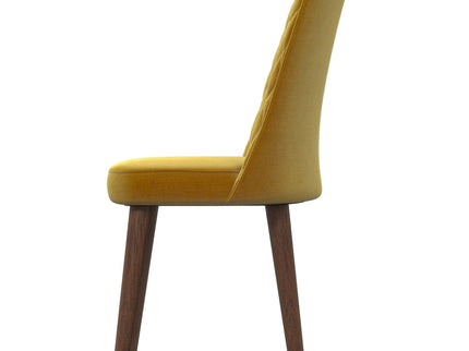 Katie - Mid-Century Modern Dining Chair (Set of 2)