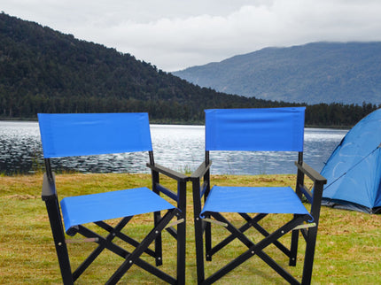 Folding Director Chair