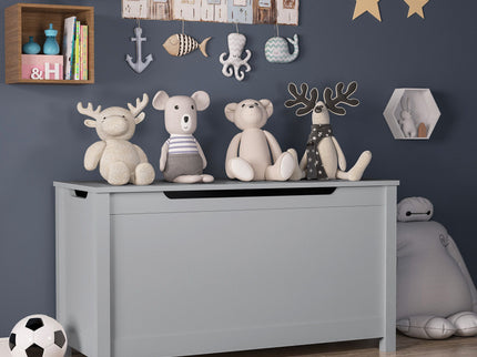 Toy Box Storage With Safety Hinged Lid