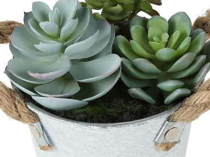 Artificial Succulent, Table Decor (Set of 2) - Green / White