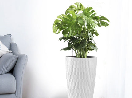 Tall Planters Set With Water Level Monitor And Auto Watering