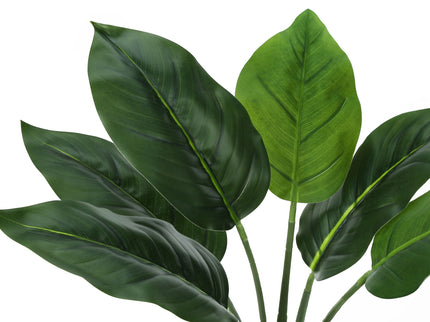 17" Tall, Artificial Plant, Aureum, Indoor, Faux, Fake, Table, Greenery, Potted, Real Touch, Decorative - Green / White