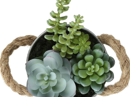 Artificial Succulent, Table Decor (Set of 2) - Green / White