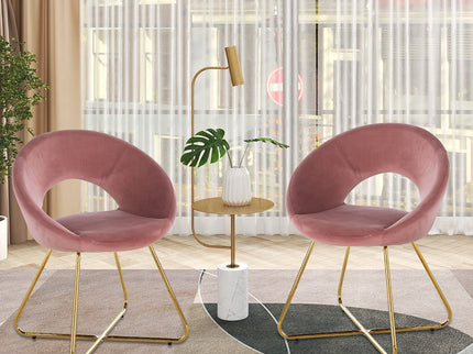 Modern Accent Chair (Set of 2)