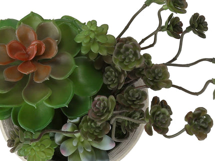 Artificial Succulent, Table Decor (Set of 2) - Green / Beige