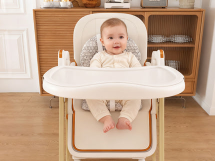 Convertible Baby High Chair To Rocker With 5 Point Harness