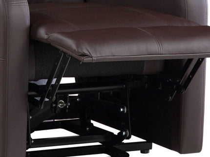 Ricardo - Power Motion Recliner With Lift