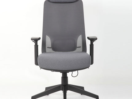High Back Breathable Ergonomic Office Chair With Adjustable Headrest & 5D Armrest, Height Adjustable Swivel - Antique Gray