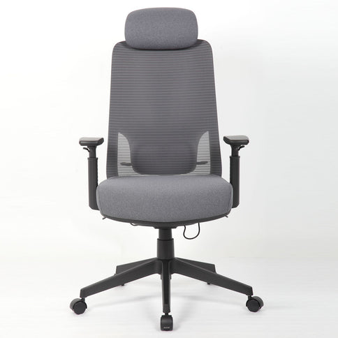 High Back Breathable Ergonomic Office Chair With Adjustable Headrest & 5D Armrest, Height Adjustable Swivel - Antique Gray