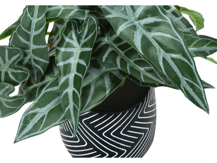 Artificial Alocasia Plant (Set of 2)