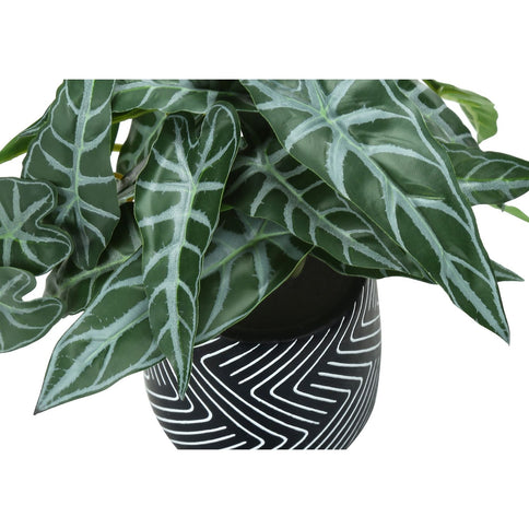 Artificial Alocasia Plant (Set of 2)