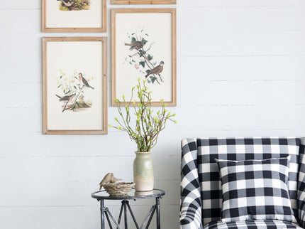 Bird Framed Print (Set of 4) - Multicolor