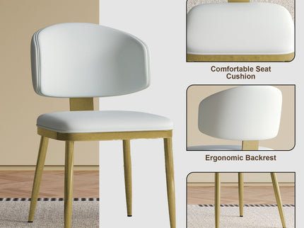 Modern Dining Chairs For Kitchen (Set of 2)