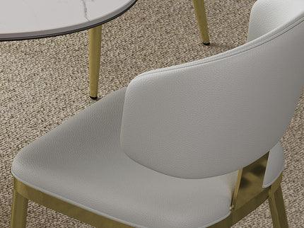 Modern Dining Chairs For Kitchen (Set of 2)