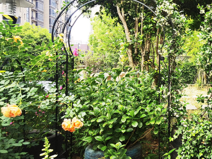 Metal Garden Arch Assemble Freely With 8 Styles Garden Arbor Trellis Climbing Plants Support Rose Arch
