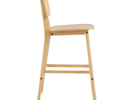 Bari - Indoor Wood Barstool (Set of 2)