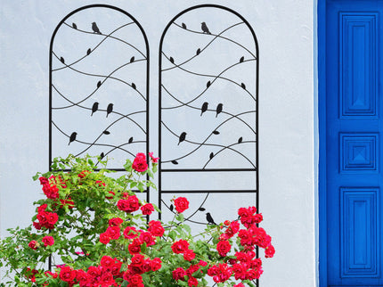Garden Rustproof Trellis For Climbing Plants