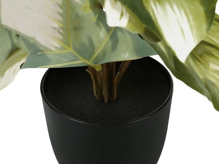 13" Tall, Artificial Plant, Monstera Calthea, Indoor, Faux, Fake, Table, Greenery, Potted, Decorative (Set of 2) - Green / Black