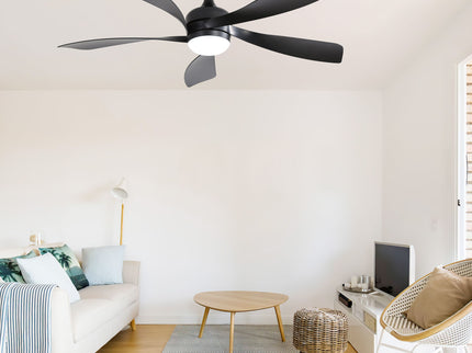 Ceiling Fan & DC Motor And Integrated Light