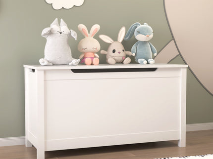 Toy Box Storage With Safety Hinged Lid