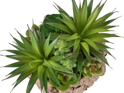Artificial Succulent, Table Decor (Set of 2) - Green