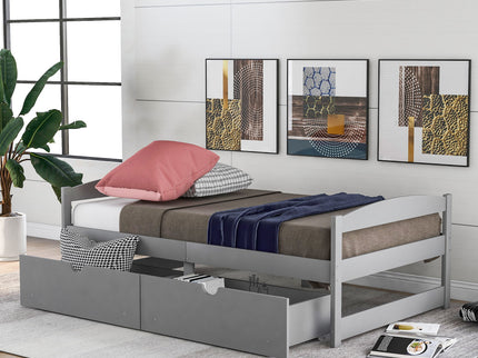 Platform Bed With 2 Drawers
