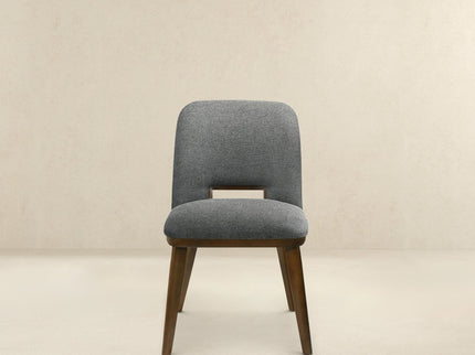 Blake - Modern Dining Chair (Set of 2)