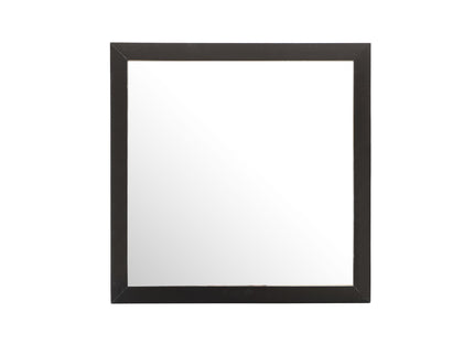 Burlington - Modern Design Transitional Wall Mirror